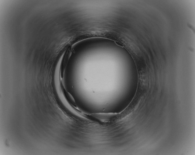 X0000098150593200804241741