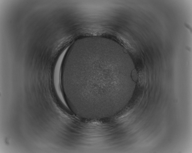 X0000098150594200804241741