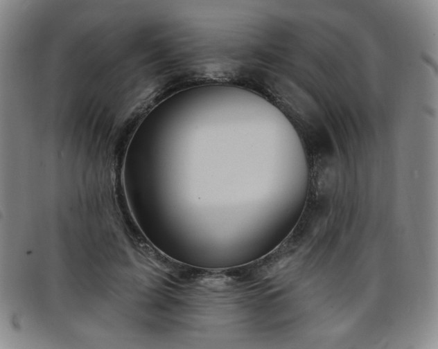 X0000098150595200804241741