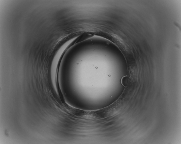 X0000098150596200804241741