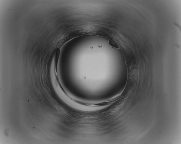 X0000098150597200804241741