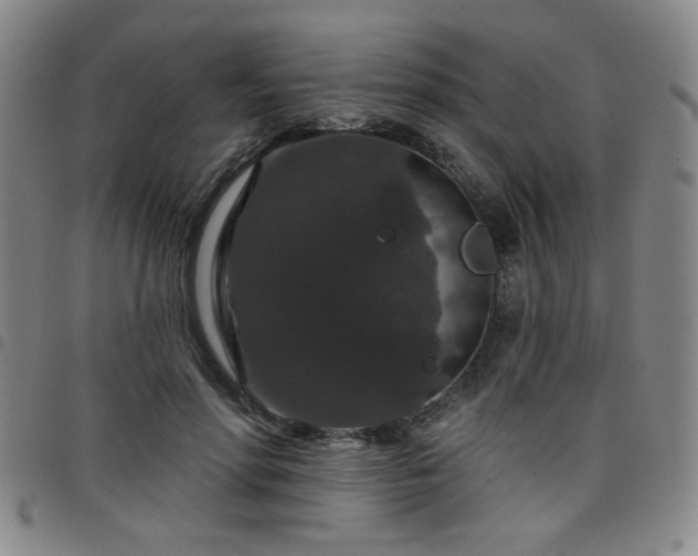 X0000098150598200804241741