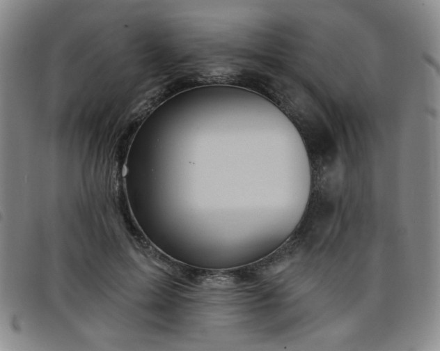 X0000098150599200804241741