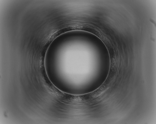 X0000098150600200804241741