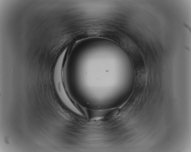 X0000098150601200804241741
