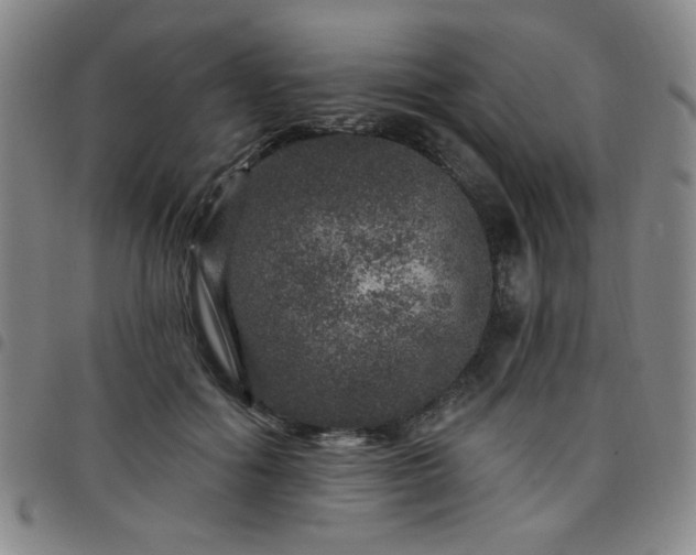X0000098150602200804241741