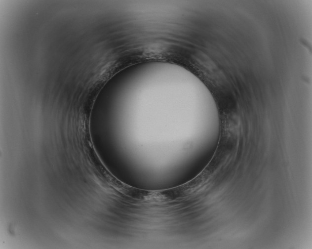 X0000098150603200804241741