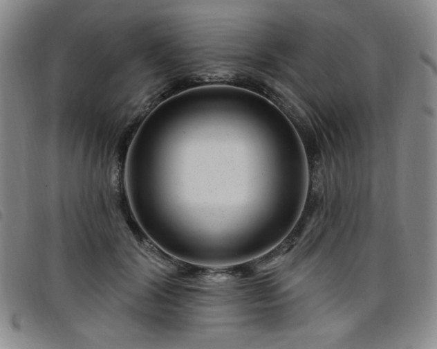 X0000098150604200804241741