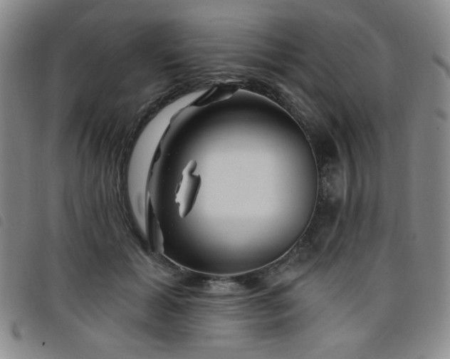 X0000098150605200804241741