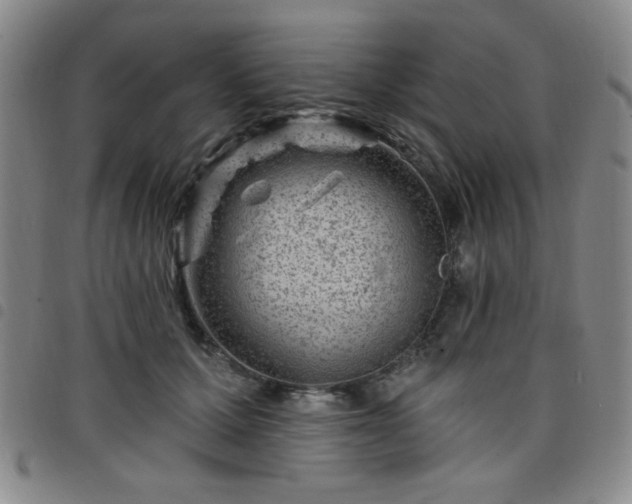 X0000098150607200804241741