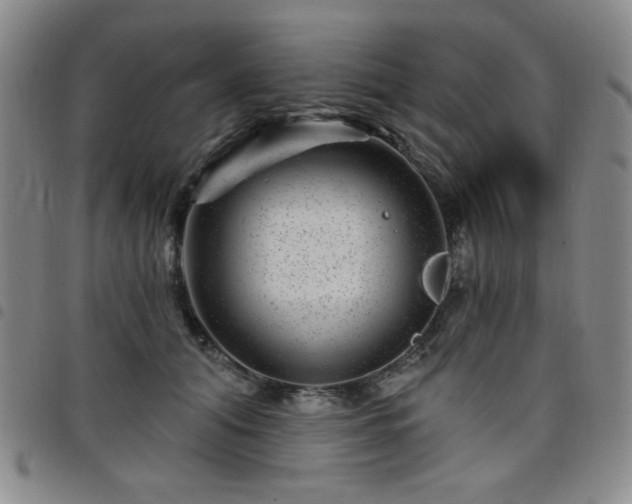 X0000098150608200804241741