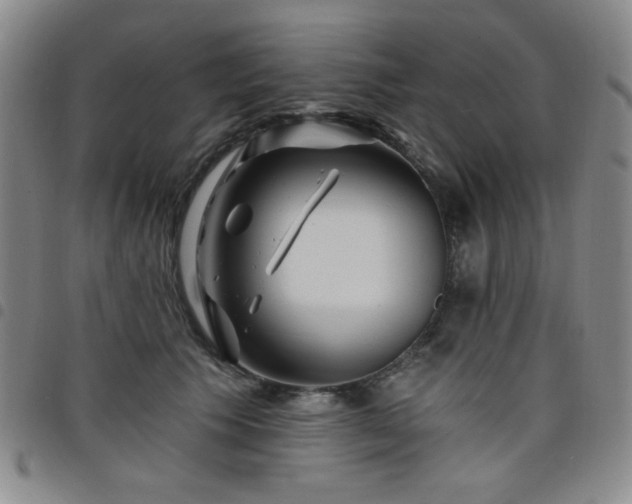 X0000098150609200804241741