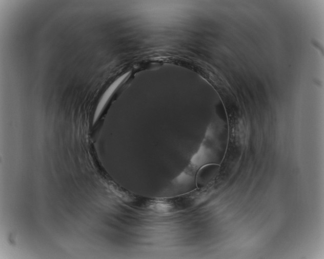 X0000098150610200804241741