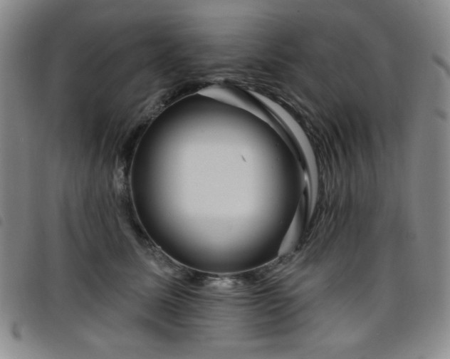 X0000098150611200804241741