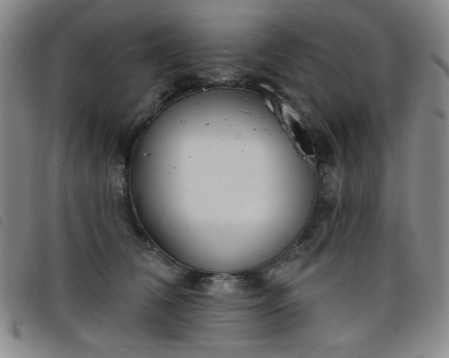 X0000098150612200804241741