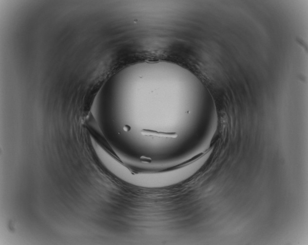 X0000098150613200804241741