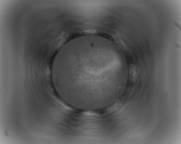 X0000098150614200804241741
