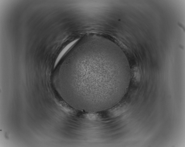 X0000098150615200804241741