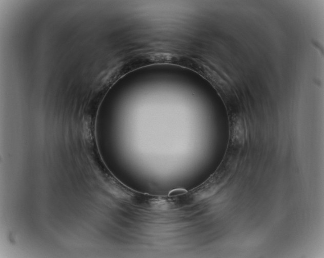 X0000098150616200804241741