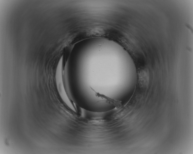 X0000098150617200804241741