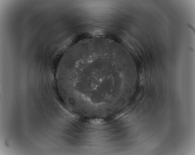 X0000098150618200804241741