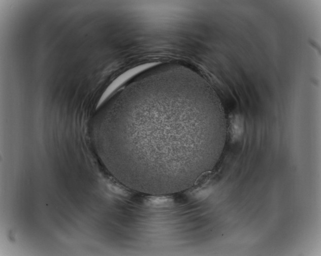 X0000098150619200804241741