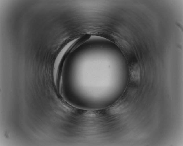 X0000098150620200804241741