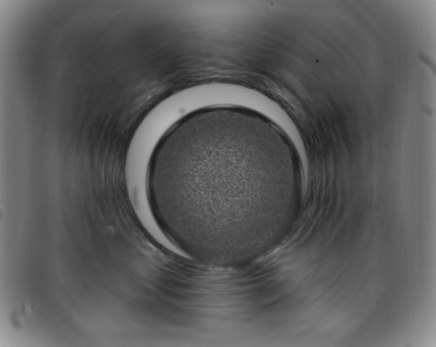 X0000098150621200804241741