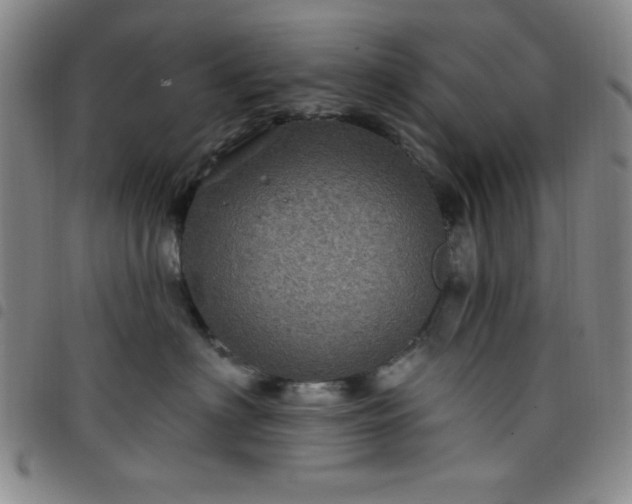X0000098150622200804241741