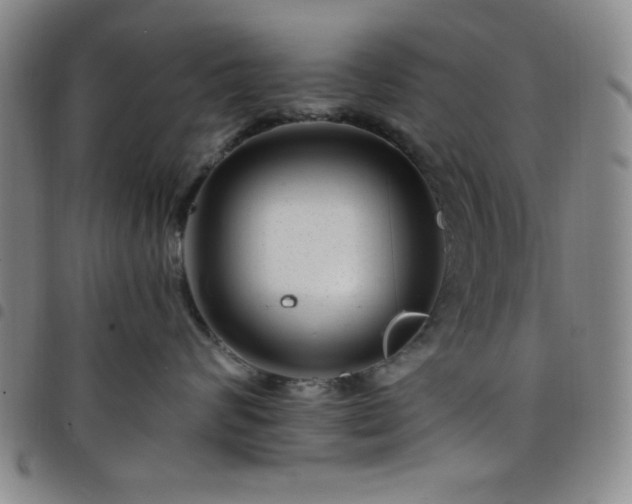 X0000098150624200804241741