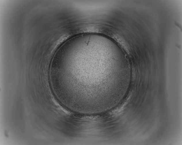 X0000098150625200804241740