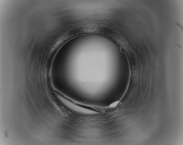 X0000098150626200804241740