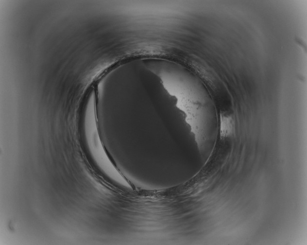 X0000098150627200804241740