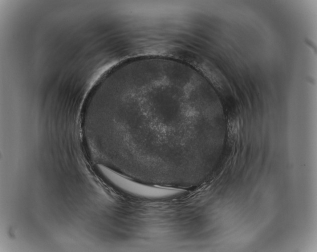 X0000098150628200804241740