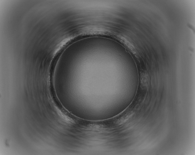 X0000098150629200804241740