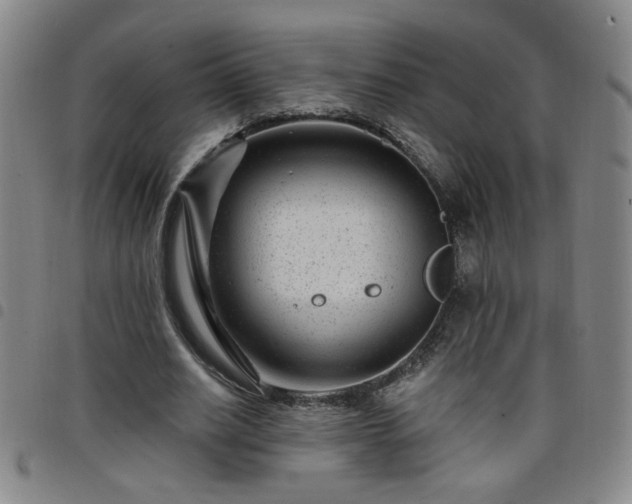 X0000098150630200804241740