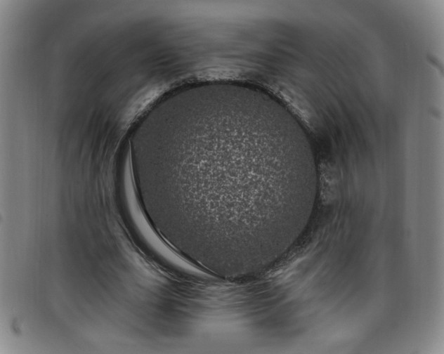X0000098150631200804241740