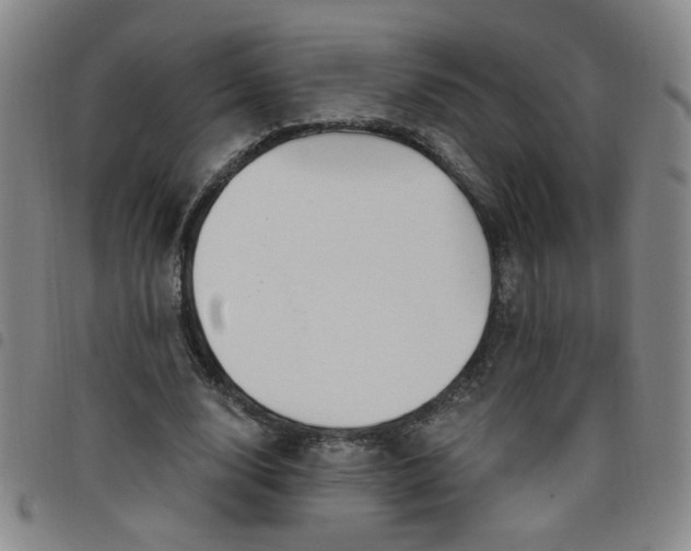 X0000098150632200804241740