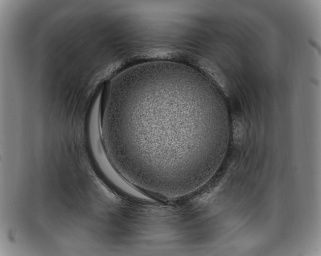 X0000098150633200804241740