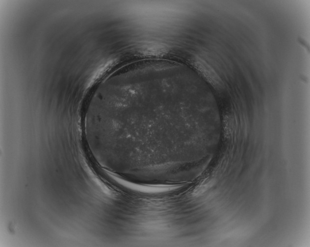 X0000098150634200804241740