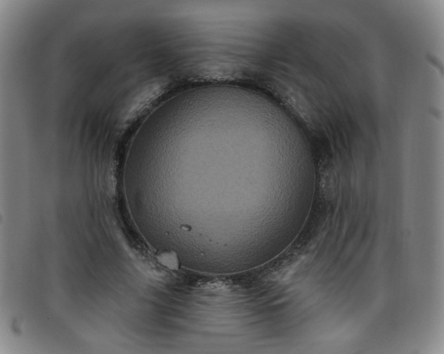 X0000098150635200804241740