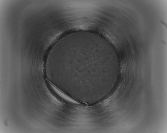 X0000098150637200804241740