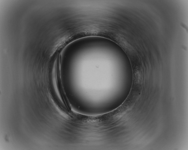 X0000098150638200804241740