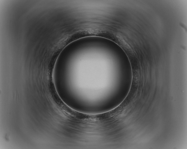 X0000098150639200804241740