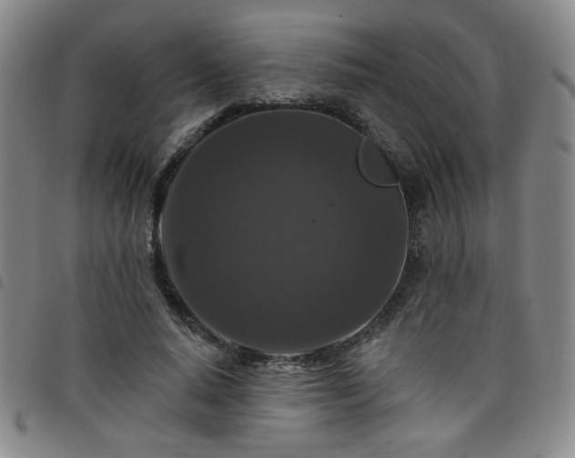 X0000098150640200804241740