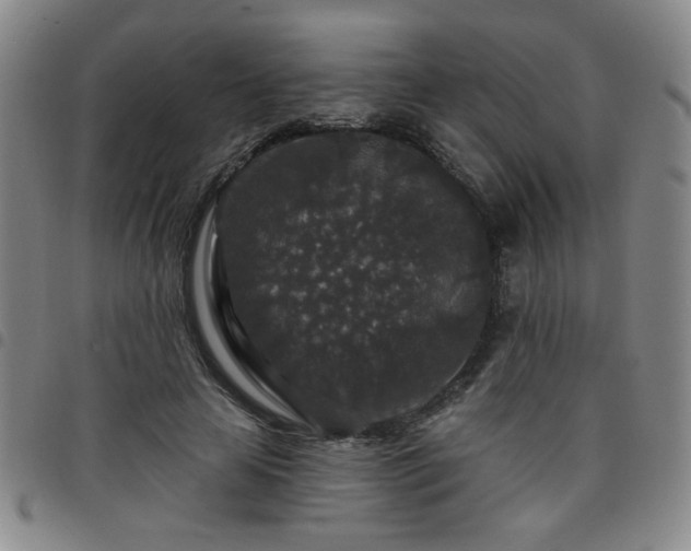 X0000098150641200804241740