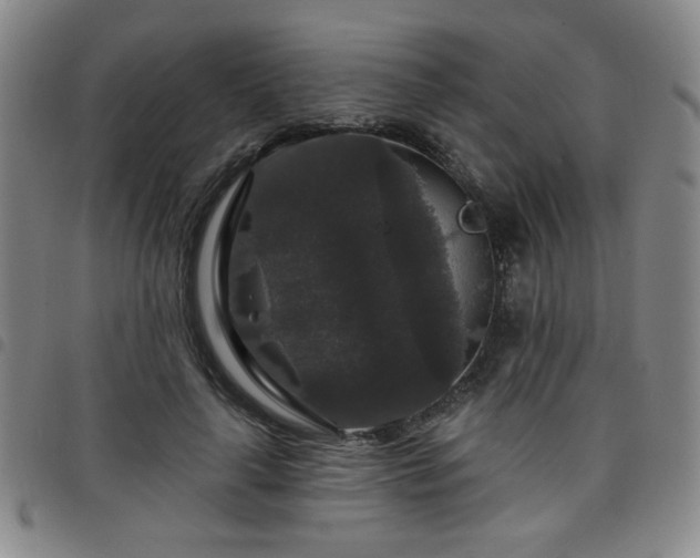 X0000098150643200804241740