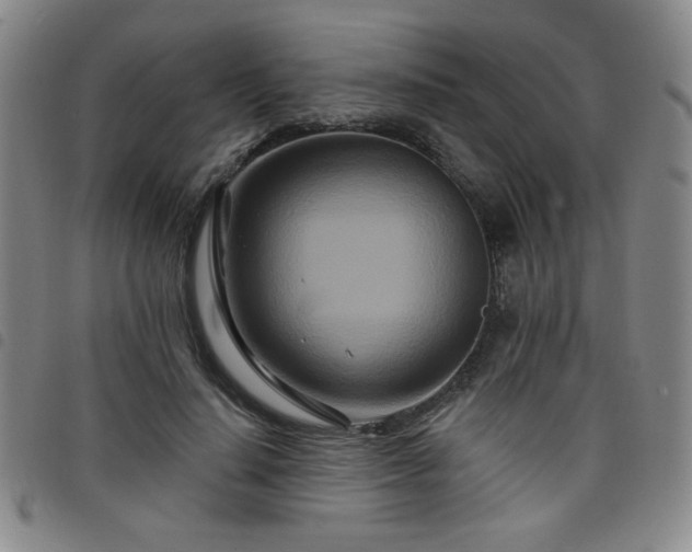 X0000098150644200804241740