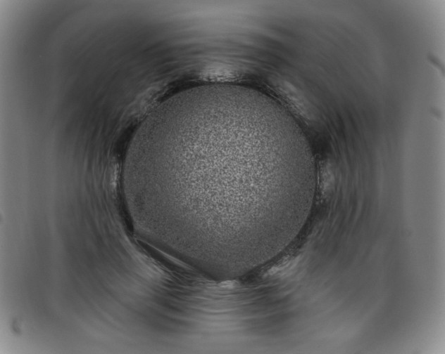 X0000098150645200804241740
