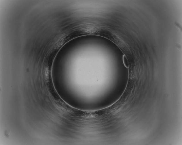 X0000098150646200804241740